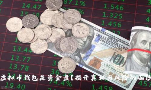 虚拟币钱包是资金盘？揭开真相与风险的面纱